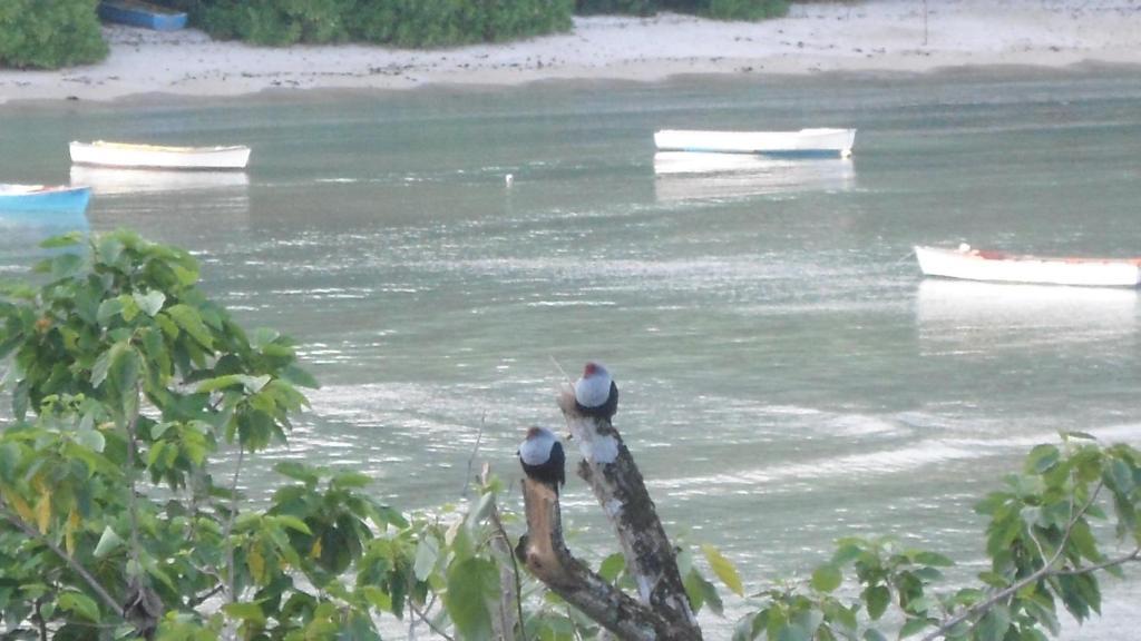 Bayview Villas Seychelles Anse Boileau エクステリア 写真
